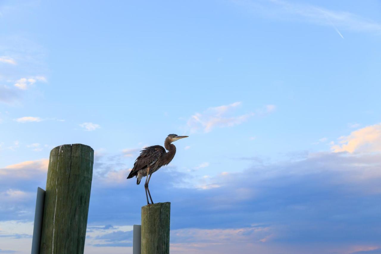 Heritage Villas Hilton Head Island Dış mekan fotoğraf